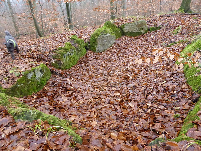 Steinkistengrab